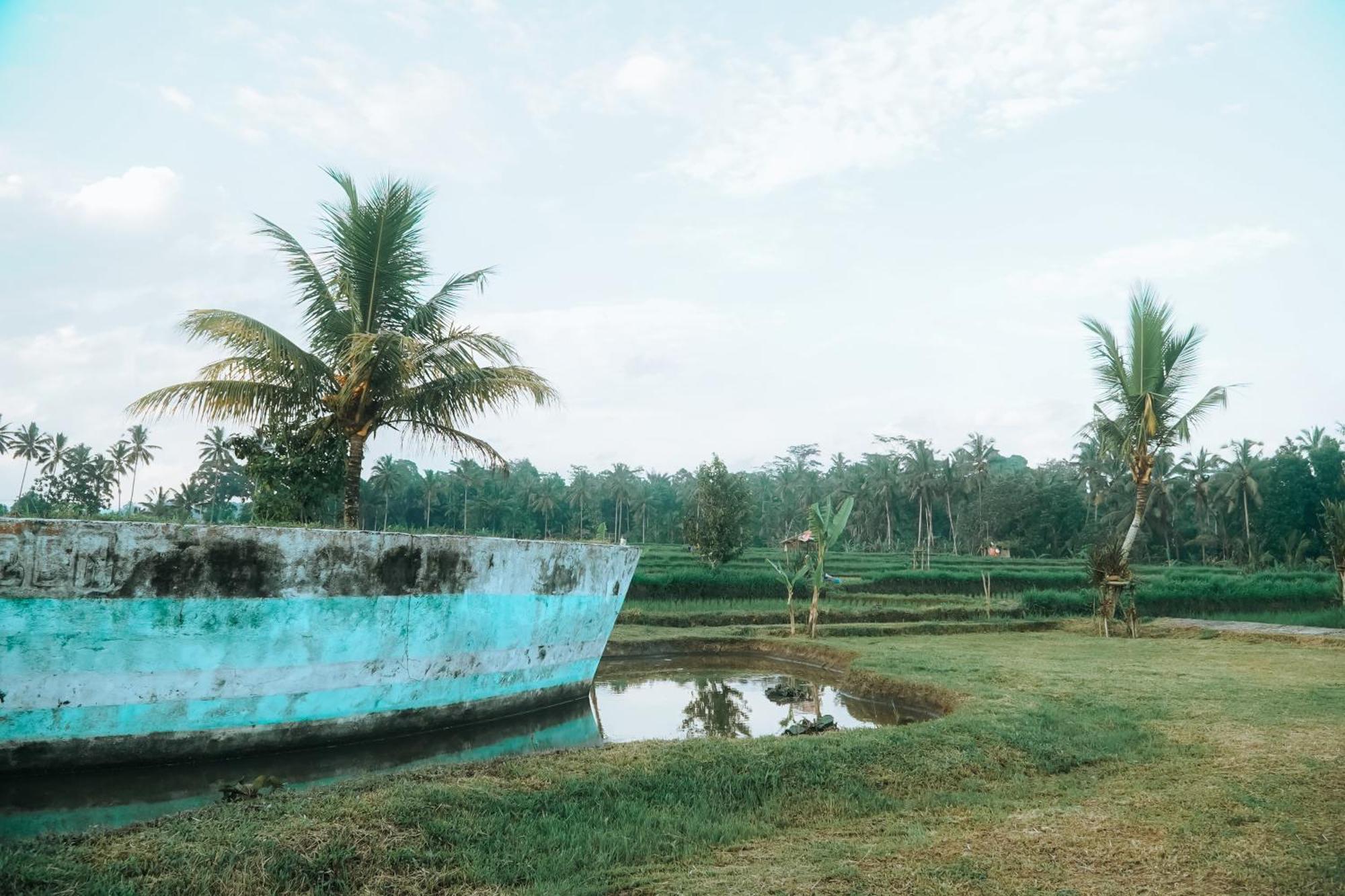 Farm stay Umadesa Tegallalang - East Penginyahan