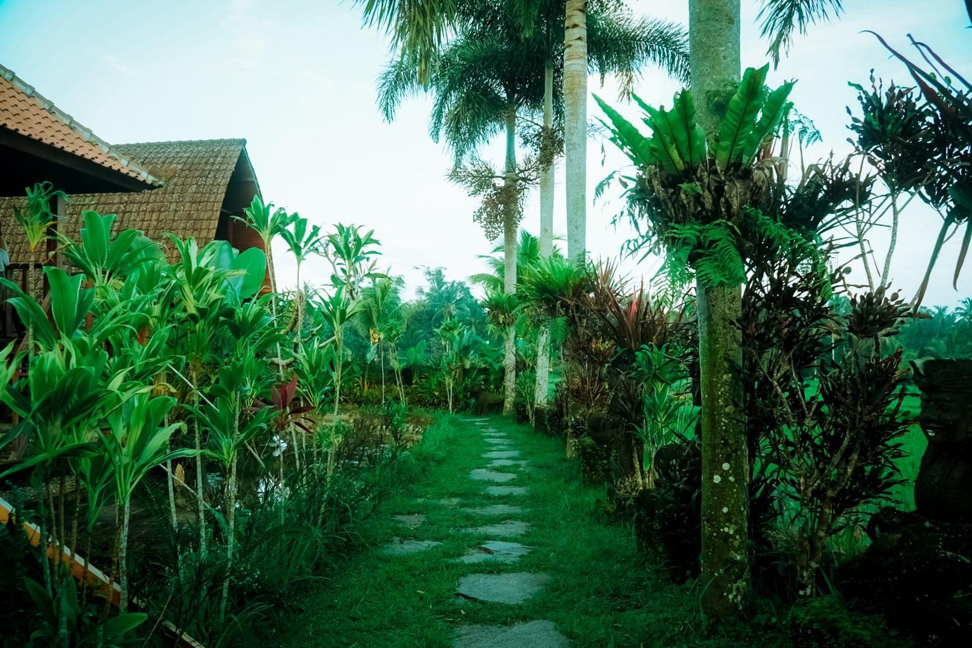 Umadesa Tegallalang - East